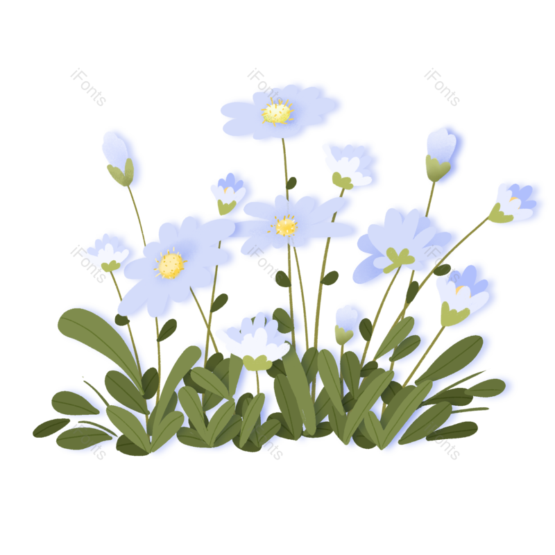 装饰图案图片,花草元素,植物花卉PNG,免抠素材
